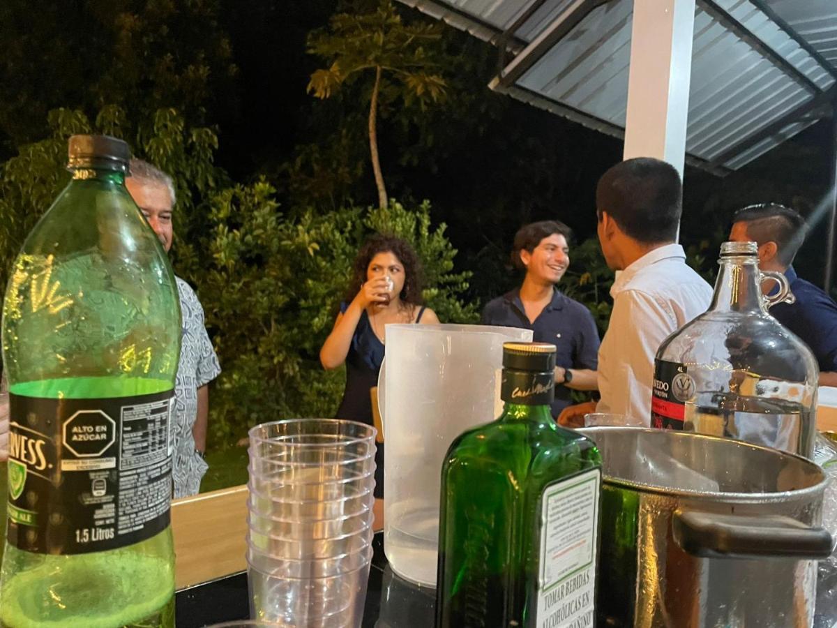 Goinn تارابوتو المظهر الخارجي الصورة